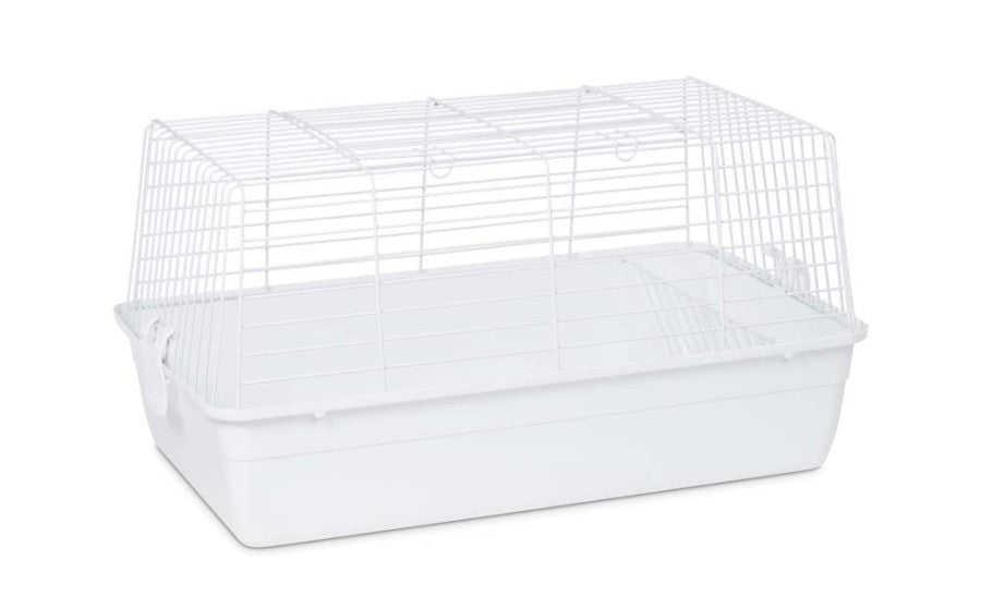 Gray/White, 4ea/4 pk, SM