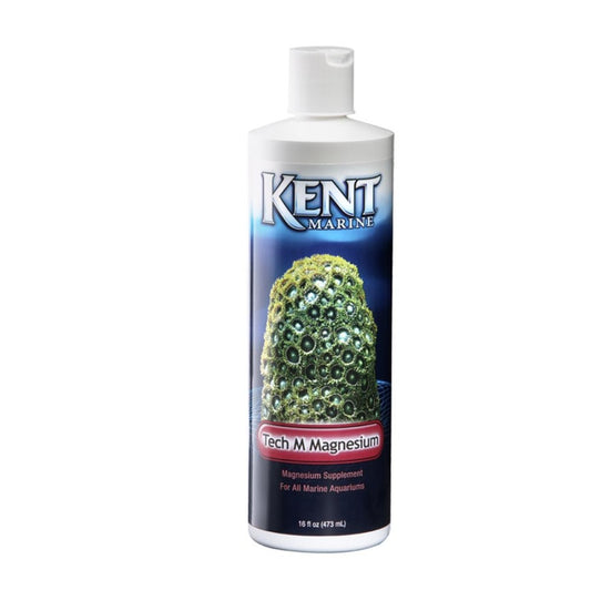 1ea/16 fl oz