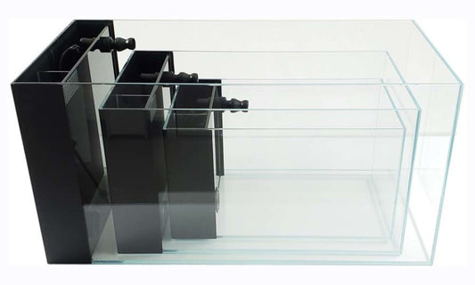 Clear, 1ea