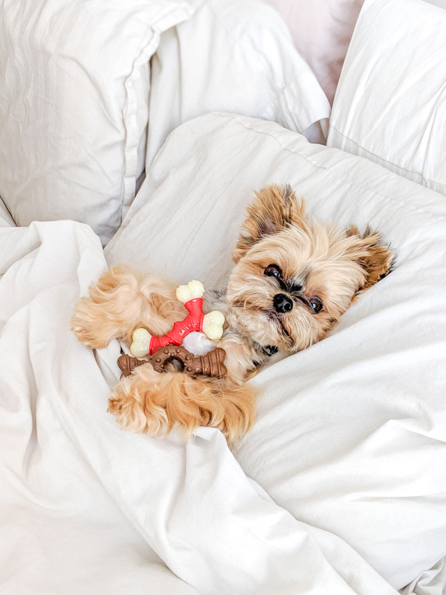 Bacon, 1ea/XS/Petite (1 ct)