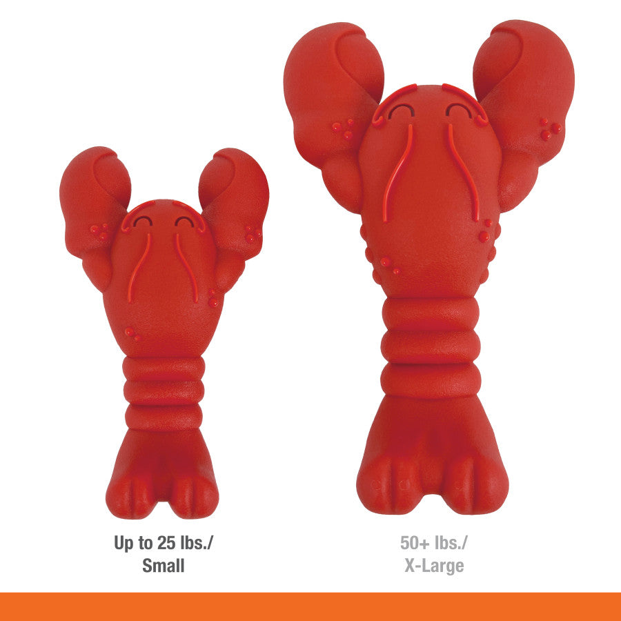 Lobster, Filet Mignon, 1ea/Medium/Wolf (1 ct)