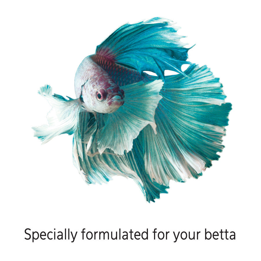 Betta, 1ea/4 fl oz