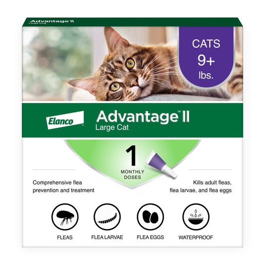 1-Month Supply, 1ea/LG Cats (Over 9Lbs)