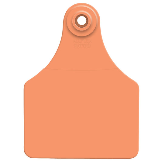 Orange, 1ea/25 pk