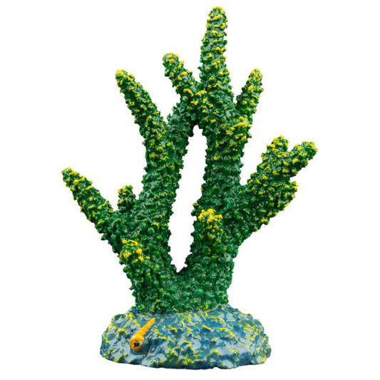 Staghorn, Green, 1ea/4.4 in