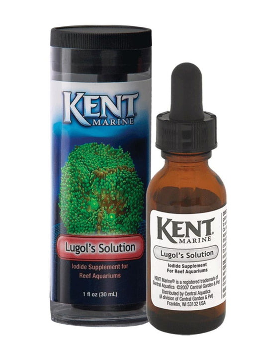 1ea/1 fl oz