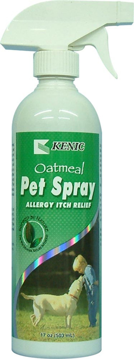 1ea/17 fl oz